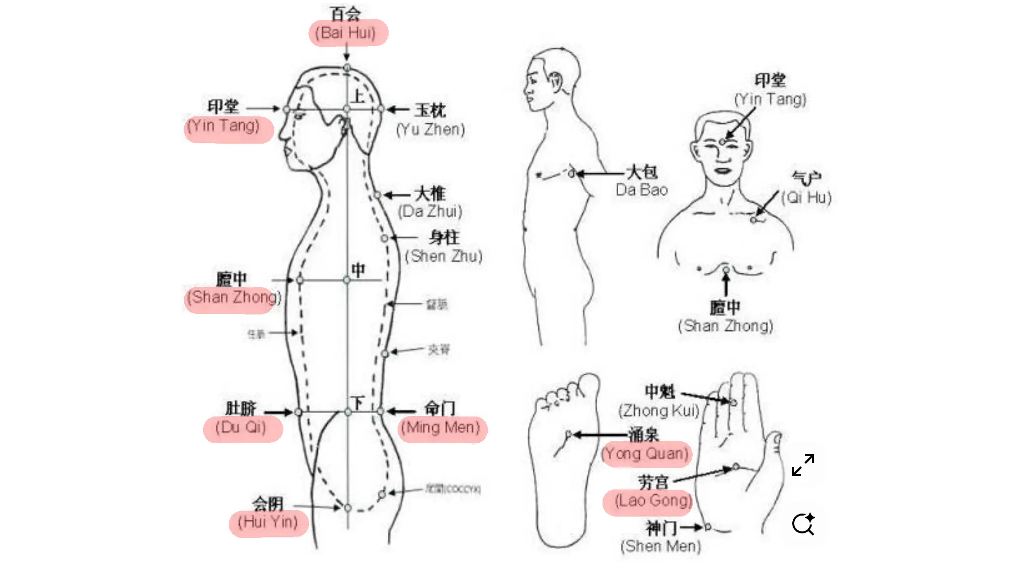 Centros de Enfoque Zhan Zhuang