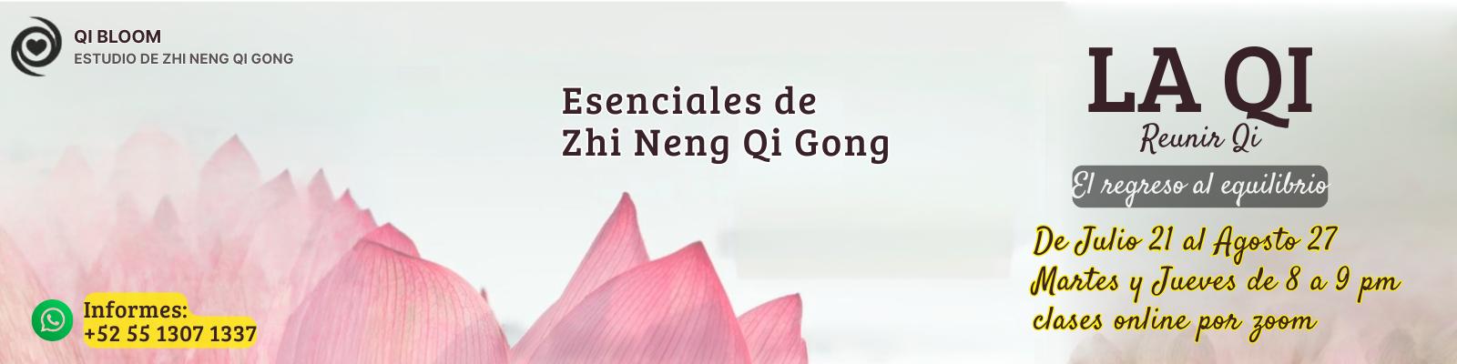 Curso Esenciales: La Qi
